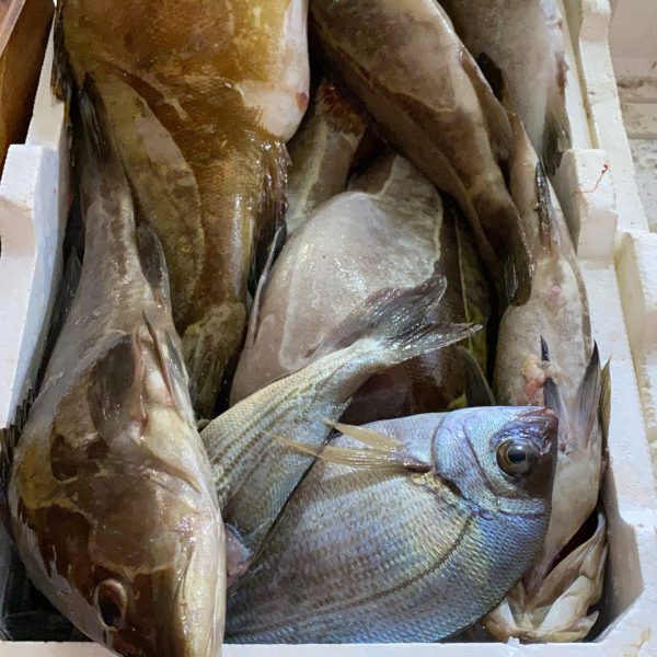 0505D6A4-F01E-4DEB-927F-9FDD5705BBF8